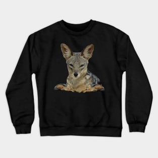 Jackal in Africa Crewneck Sweatshirt